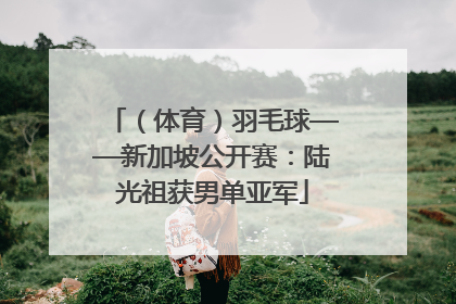（体育）羽毛球——新加坡公开赛：陆光祖获男单亚军