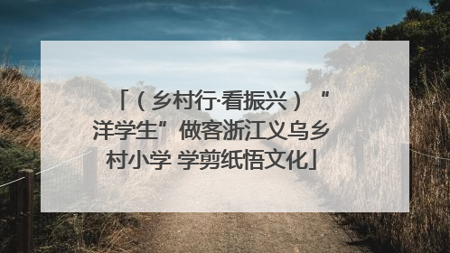 （乡村行·看振兴）“洋学生”做客浙江义乌乡村小学 学剪纸悟文化