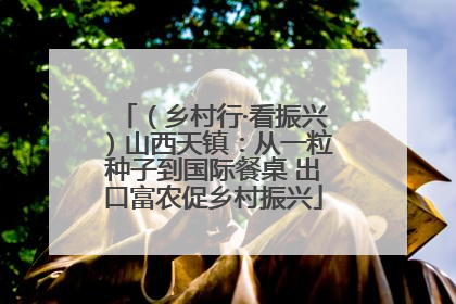 （乡村行·看振兴）山西天镇：从一粒种子到国际餐桌 出口富农促乡村振兴