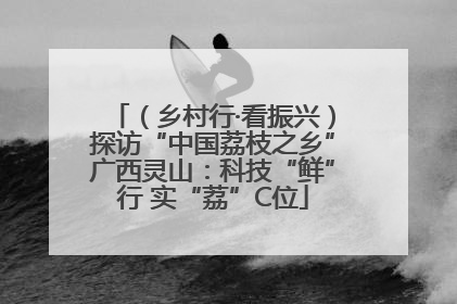 （乡村行·看振兴）探访“中国荔枝之乡”广西灵山：科技“鲜”行 实“荔”C位