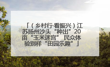 （乡村行·看振兴）江苏扬州沙头“种出”20亩“玉米迷宫” 民众体验别样“田园乐趣”