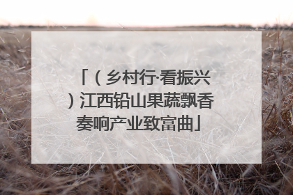 （乡村行·看振兴）江西铅山果蔬飘香 奏响产业致富曲