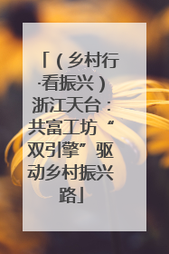 （乡村行·看振兴）浙江天台：共富工坊“双引擎”驱动乡村振兴路