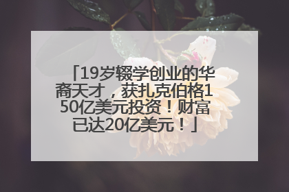 19岁辍学创业的华裔天才，获扎克伯格150亿美元投资！财富已达20亿美元！