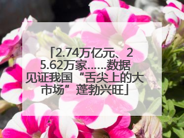 2.74万亿元、25.62万家……数据见证我国“舌尖上的大市场”蓬勃兴旺