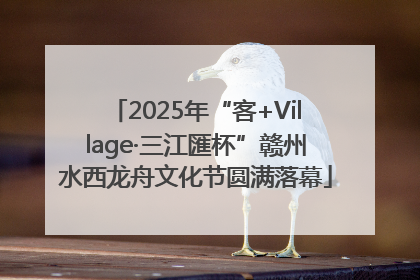 2025年“客+Village·三江匯杯”赣州水西龙舟文化节圆满落幕