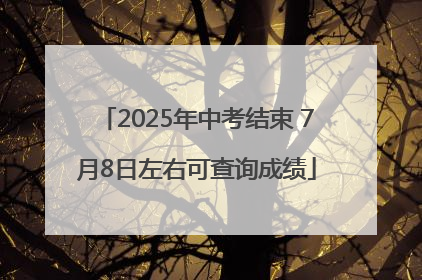 2025年中考结束 7月8日左右可查询成绩