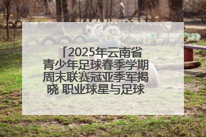 2025年云南省青少年足球春季学期周末联赛冠亚季军揭晓 职业球星与足球小将共享荣耀时刻