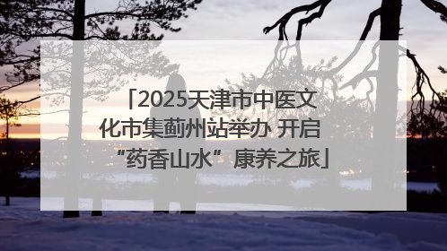 2025天津市中医文化市集蓟州站举办 开启“药香山水”康养之旅