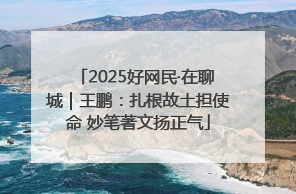 2025好网民·在聊城｜王鹏：扎根故土担使命 妙笔著文扬正气