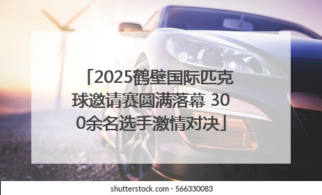 2025鹤壁国际匹克球邀请赛圆满落幕 300余名选手激情对决