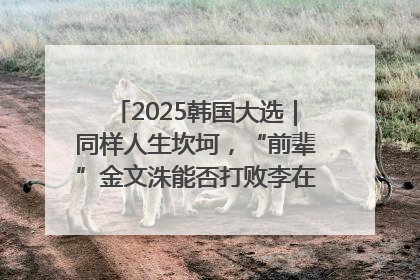 2025韩国大选｜同样人生坎坷，“前辈”金文洙能否打败李在明“逆风翻盘”？