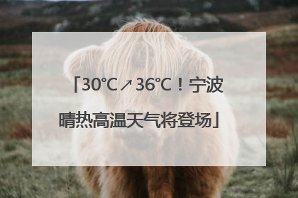 30℃↗36℃！宁波晴热高温天气将登场