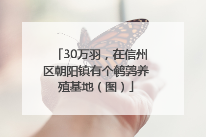 30万羽，在信州区朝阳镇有个鹌鹑养殖基地（图）