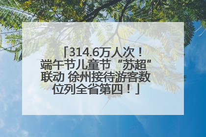 314.6万人次！端午节儿童节“苏超”联动 徐州接待游客数位列全省第四！