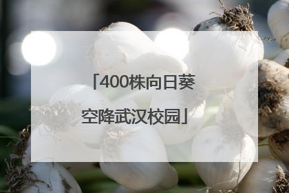 400株向日葵空降武汉校园
