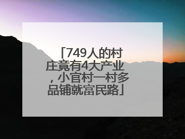 749人的村庄竟有4大产业，小官村一村多品铺就富民路
