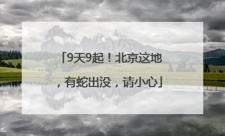 9天9起！北京这地，有蛇出没，请小心