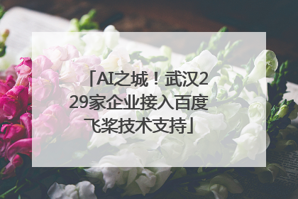 AI之城！武汉229家企业接入百度飞桨技术支持