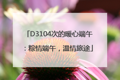 D3104次的暖心端午：粽情端午，温情旅途
