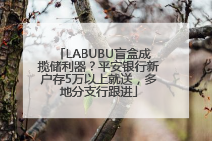 LABUBU盲盒成揽储利器？平安银行新户存5万以上就送，多地分支行跟进